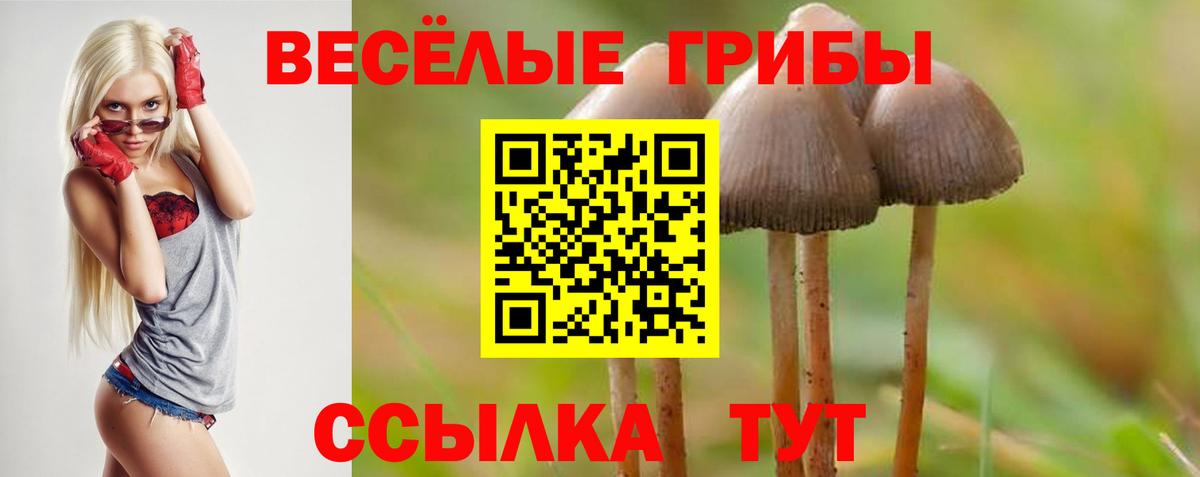 Новороссийск  Псилоцибиновые грибы мицелий  Вход с VPN 